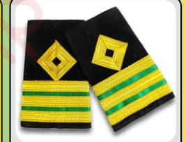 Epaulette — Electrical Engineer